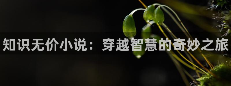 飞卢同人小说网