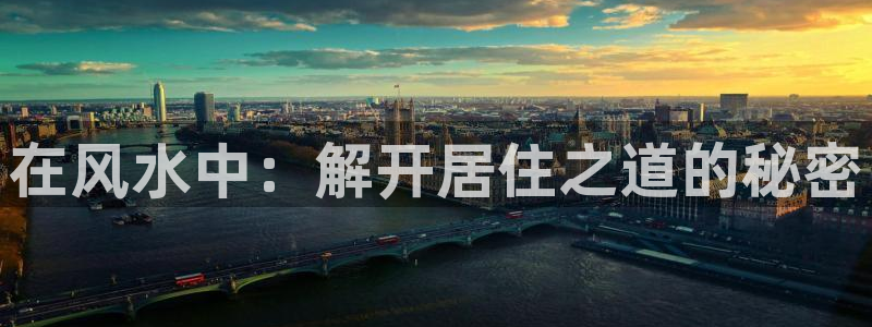 看同人小说软件